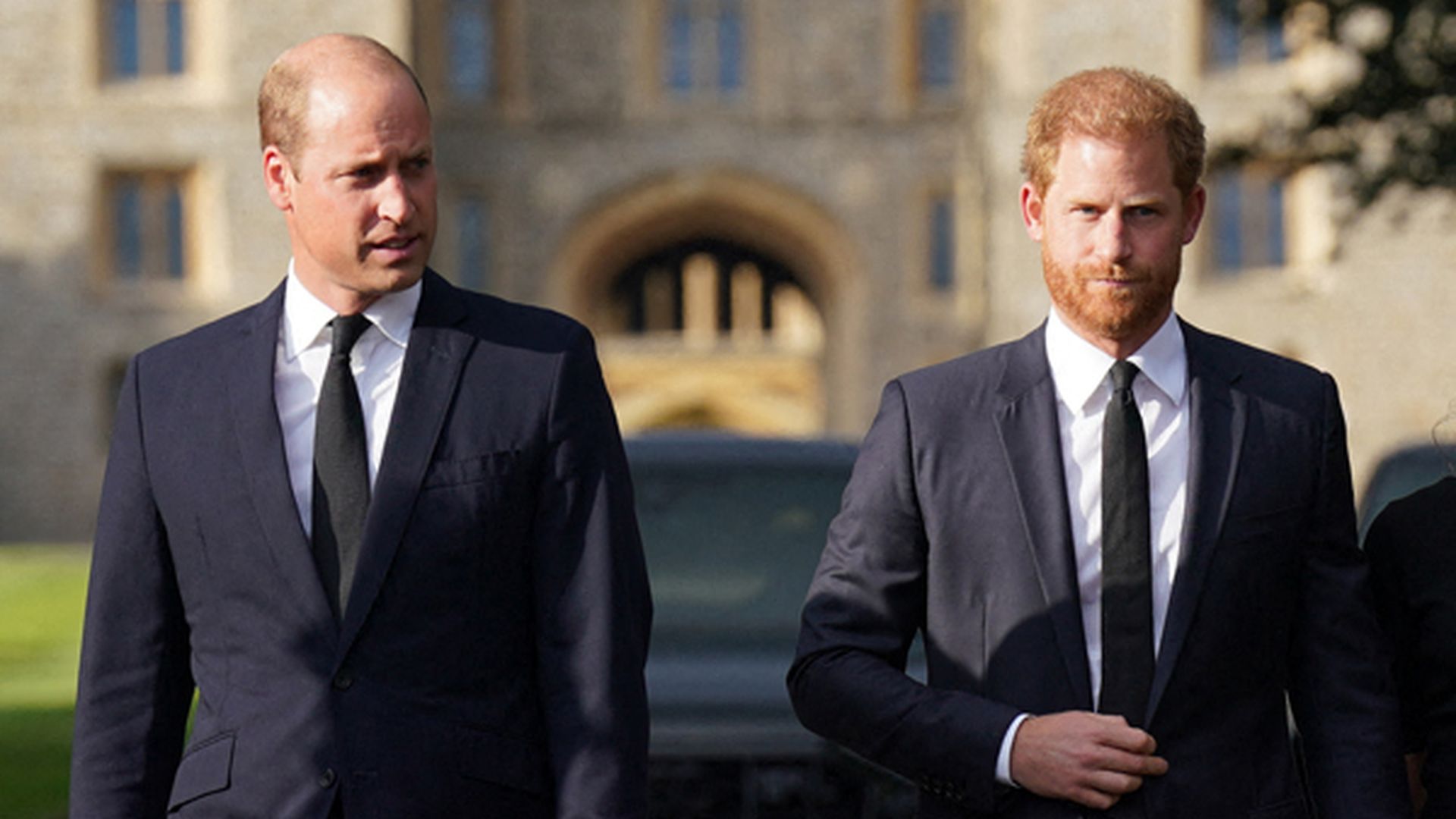 Expertin-sicher-Prinz-William-loescht-Harry-aus-Gedaechtnis.jpg