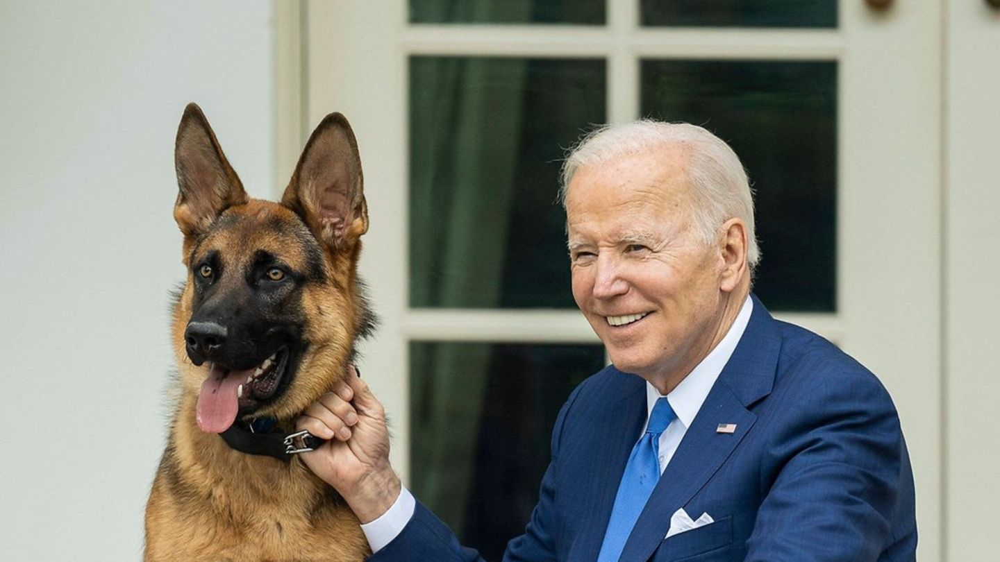 Neuer-Aerger-um-seinen-bissigen-First-Dog.jpg
