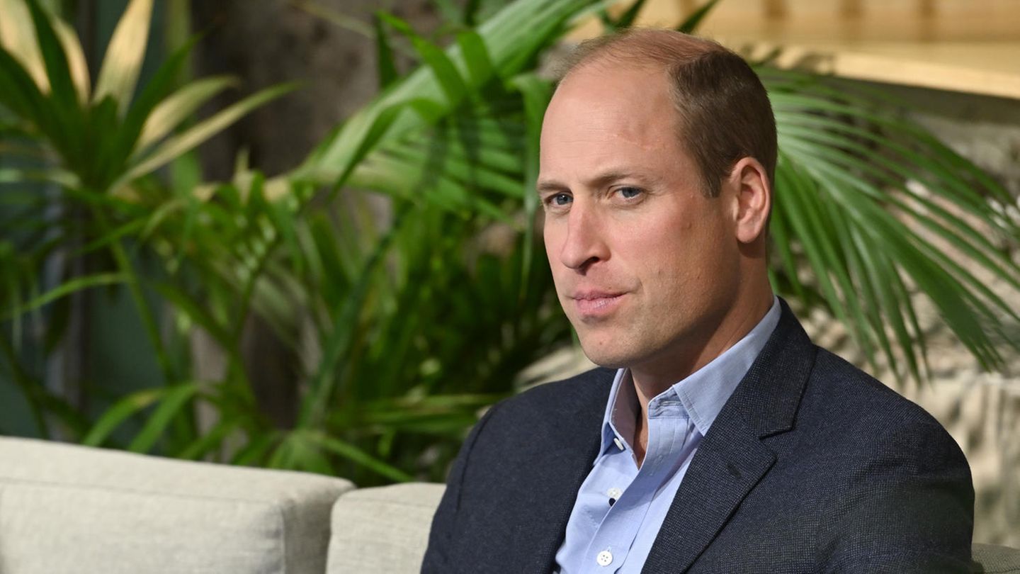 Prinz-William-total-angewidert-von-Prinzessin-Diana-in-The-Crown.jpg