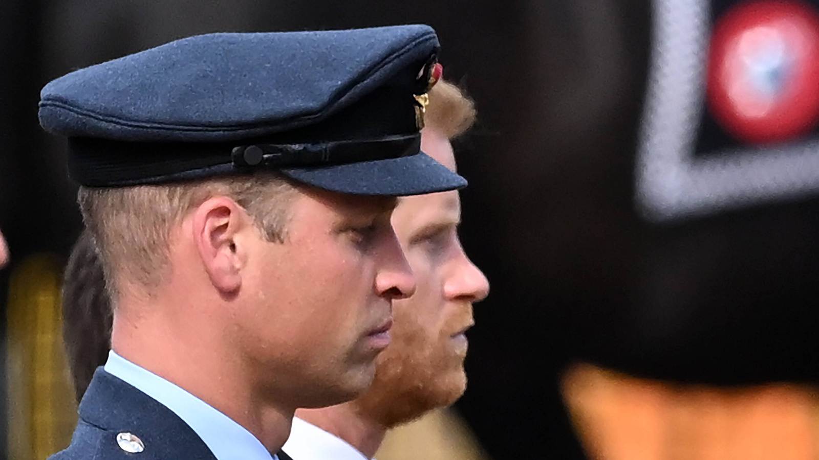 Prinz-Harry-und-Prinz-William-Unerwartete-Versoehnung-Sie-wollen-das-Erbe-ihrer-Mutter-bewahren-InTouch.jpg
